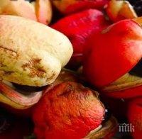 Ето 5-те от най-опасните храни, забранени със закон