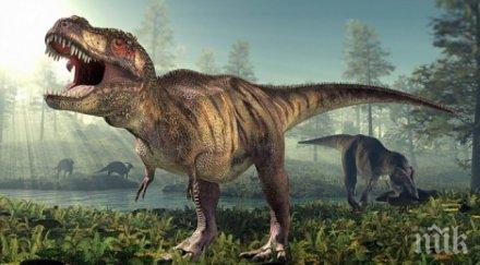 влизат тунела убил динозаврите