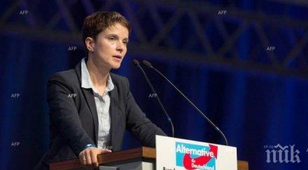 двама депутати алтернатива германия напуснат европейския парламент края март