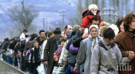 австралия бие тревога каналджиите пренасочват българия унгария