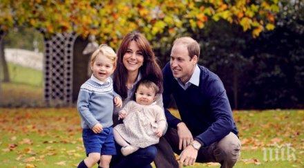 хотел франция отказа приеме принц уилям съпругата катрин брат принц хари