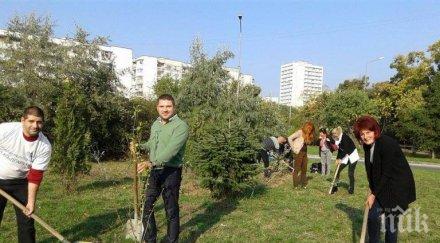 100 декара държавни горски площи територията община тутракан бъдат залесени