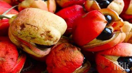 опасните храни забранени закон