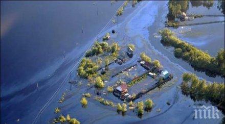 жални звуци веднага притече помощ добро сърце