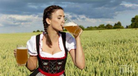 факта алкохола знаете