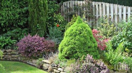 хиляди растения засадени година велико търново