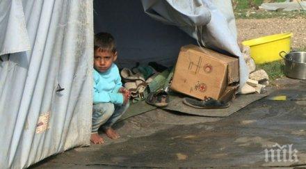 250 хил сирийски деца получават достатъчно храна