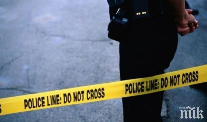 През първата половина на 2015 г. в САЩ са загинали над 2,3 хиляди пешеходци