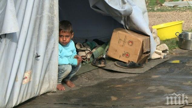 Над 250 хил. сирийски деца не получават достатъчно храна
