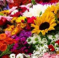 Данъчни иззеха над 19 000 лв. от търговци на цветя