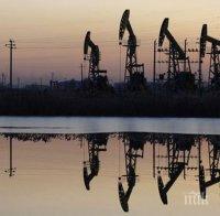 Китай увеличи вноса на петрол, покачвайки цените му