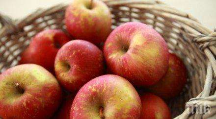 индийците проявяват интерес кюстендилските ябълки