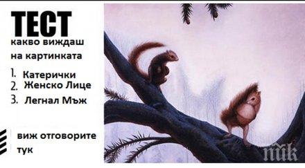 забавен психологически тест разкрива информация теб сподели виждаш снимката погледни отговора