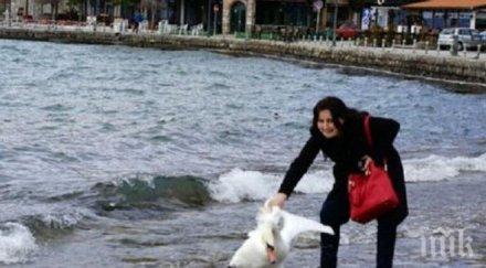 добри вести охрид убитият българката лебед джордж оживя