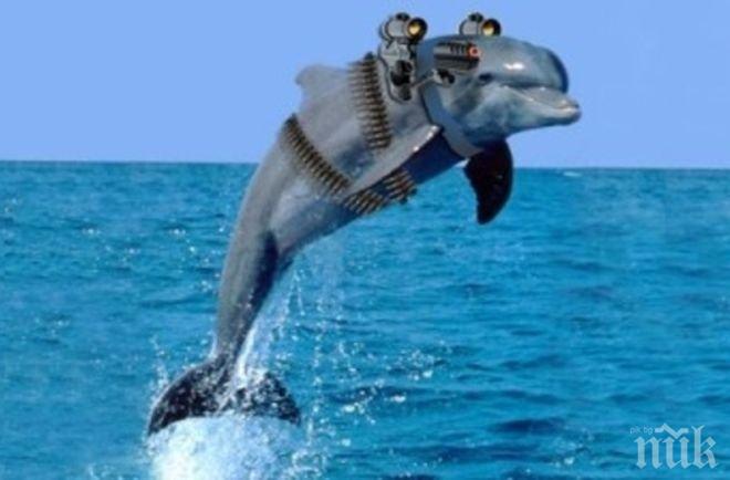 Русия купува делфини, ще ги прави живи торпеда