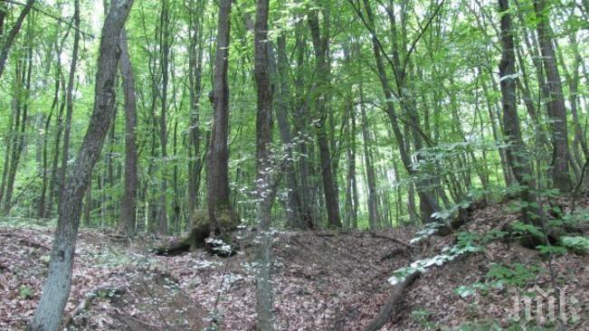 Потомци на жертвите от Гората на смъртта искат да им направят паметник