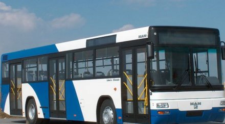 годишен разби черепа автобусен шофьор