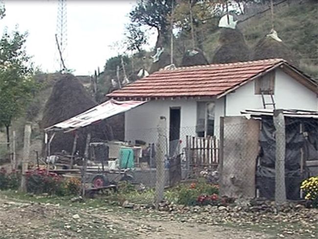 Псета разкъсаха жена