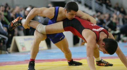 спортното министерство обеща подкрепа родната борба