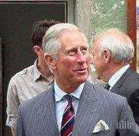 В Черна гора принц Чарлз ще получи за подарък маслиново масло на 1000 г.