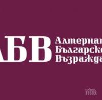 АБВ искат закон за автомобилното хулиганство
