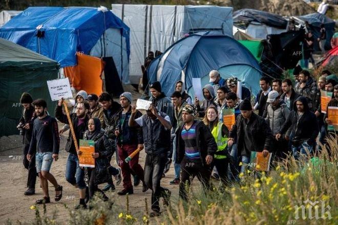 Австрия планира да разшири контрола по границите си за борба с нелегалните мигранти