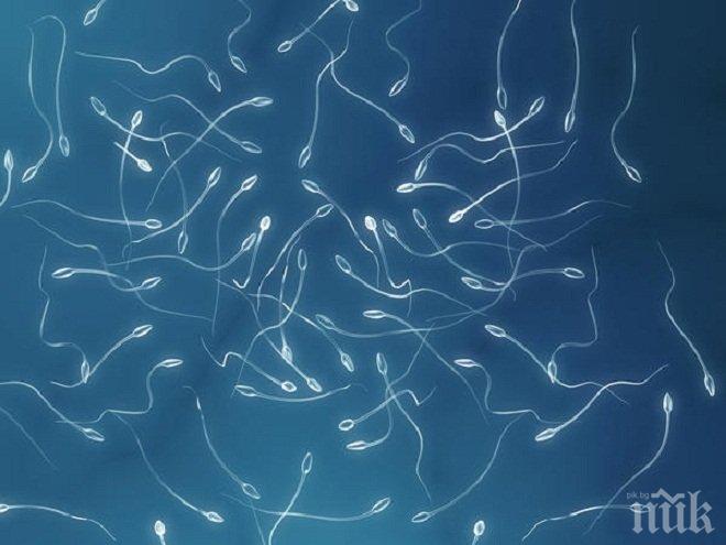 По нов метод селектират ембрионите при ин витро