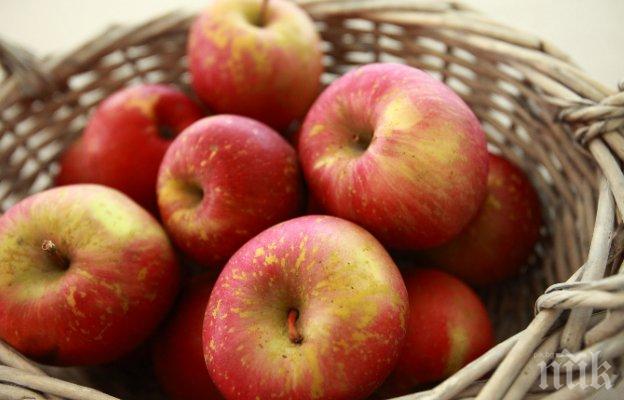 БАБХ спря внос на 22 тона ябълки и над 1 тон зеленчуци от Македония и Гърция
