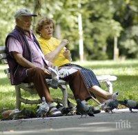 Учени установиха: Споделянето на опит подобрява здравето на пенсионерите
