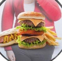 Внимание! Бургерите бавно убиват мозъка ни - вредят на паметта ни!