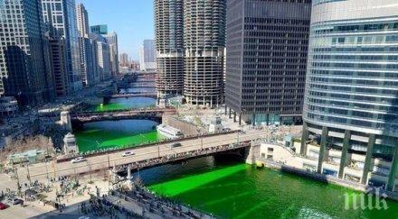 зелена река появи сащ причината