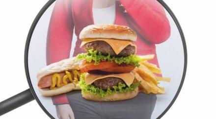 внимание бургерите убиват мозъка вредят паметта