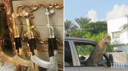 хвалят децата големите наркобарони социалните мрежи