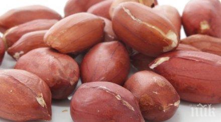 ползите суровите фъстъци важно присъстват нашето ежедневие