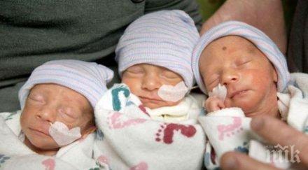 5000 лева социален асистент получават тризнаци пловдив