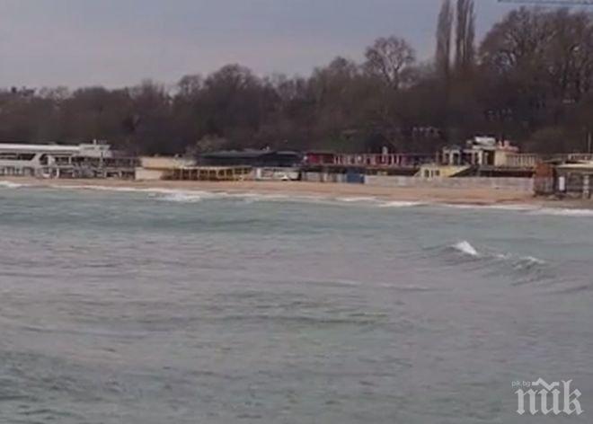 ПИК ТV: Варна ще посрещне туристически сезон с обновена крайбрежна алея