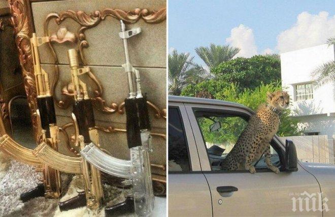 С какво се хвалят децата на най-големите наркобарони в социалните мрежи?!