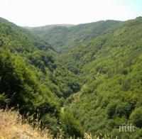 Хайде на разходка, добри са условията за туризъм в планините