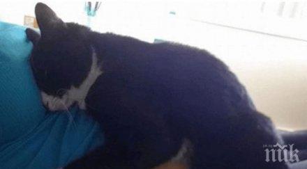 бебче имаше собствен бодигард роди невероятно очарователна история