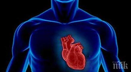 изследователи регенерирали биещи човешки сърца стволови клетки