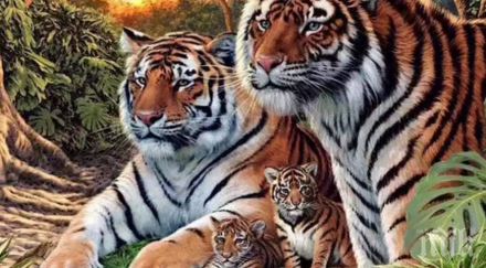 тигри изобразени снимка повече отколкото мислиш