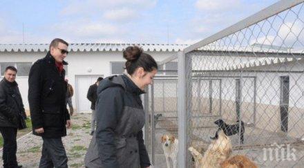 100 видинчани посетиха приюта кучета деня отворени врати