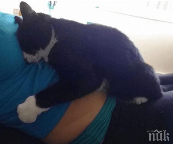 Това бебче си имаше собствен бодигард, още преди да се роди! Невероятно очарователна история! 