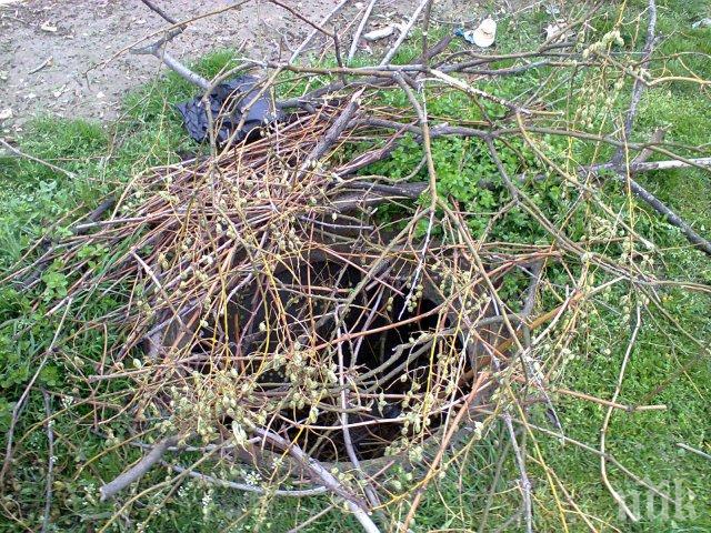 Траперски капан дебне на пловдивския бул. „Македония”(снимки)