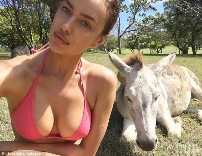 Ирина Шейк показа пищна гръд, направи си селфи с магаре (снимки)