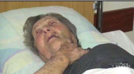 апелативният съд пловдив разгледа жалбите двамата мъже пребили баба дона