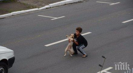 момченце скача насрещното движение видях сърцето спря