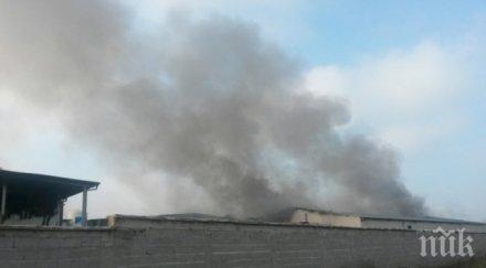 пожарът първомай тлее изгоряла напълно птицекланицата заедно патиците