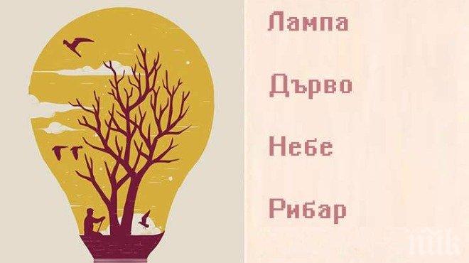 ТЕСТ: Какво те очаква в близко бъдеще? 