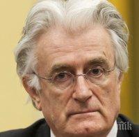 Радован Караджич ще лежи доживот в британски затвор